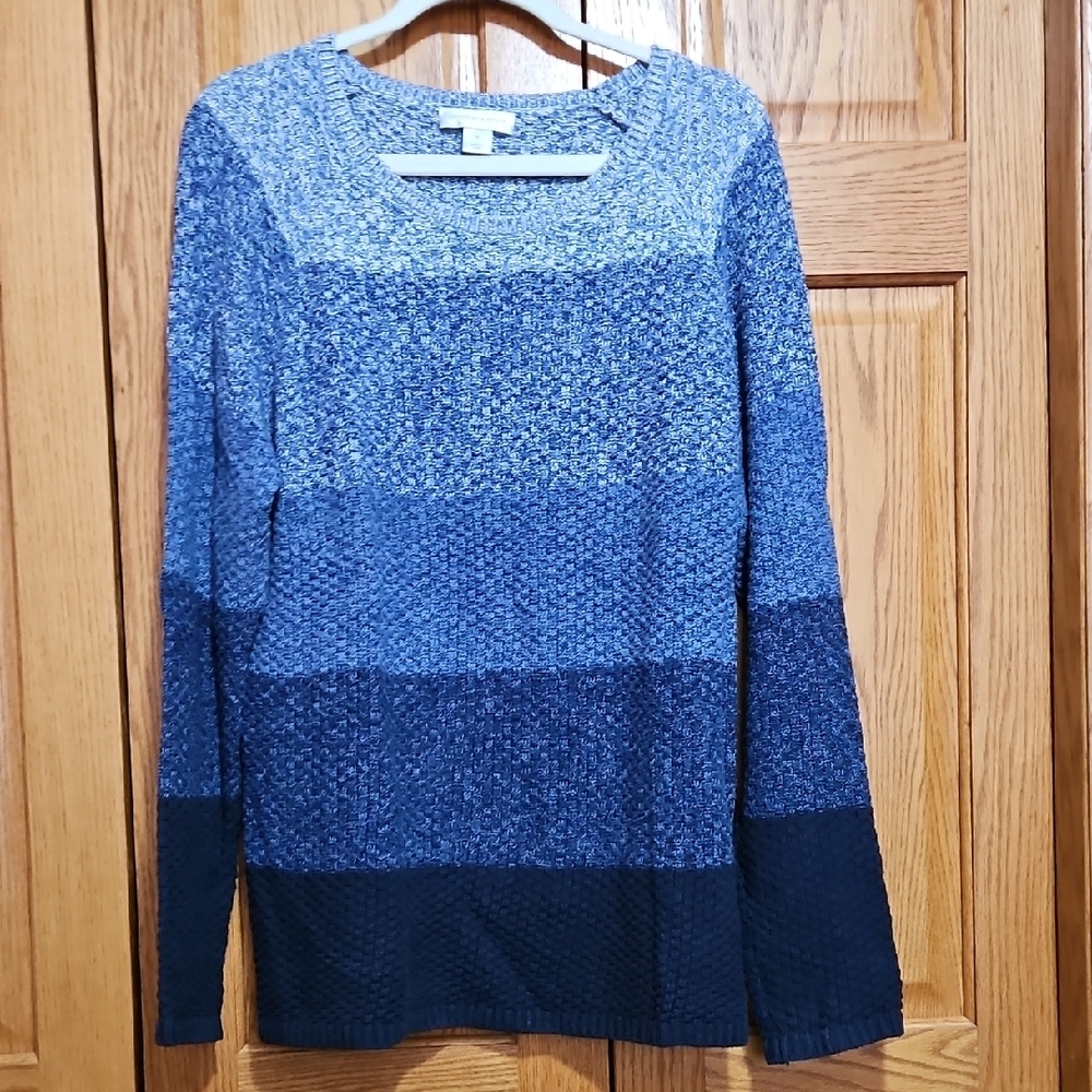 Christopher & Banks Navy and Sky Blue Sweater